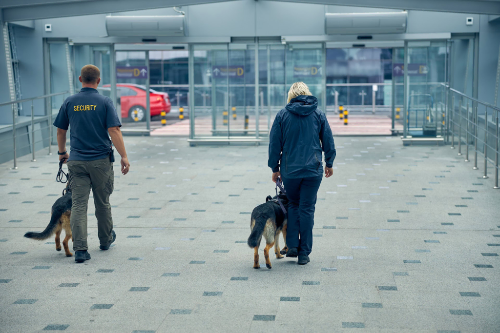 image 4 Two security personnel walk side by side with dogs on leashes inside a modern building corridor, similar to a neighbourhood watch in my area, featuring glass walls and automatic doors.
