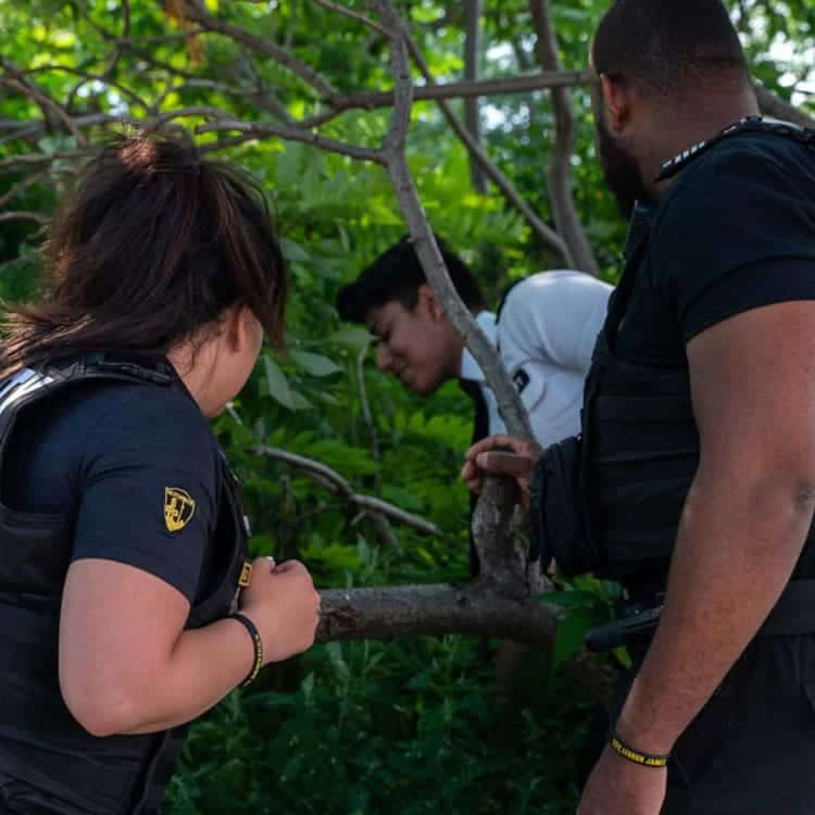 image Three people in security uniforms, part of the neighbourhood watch in my area, stand near a man in a white shirt who appears to be looking into dense green foliage.